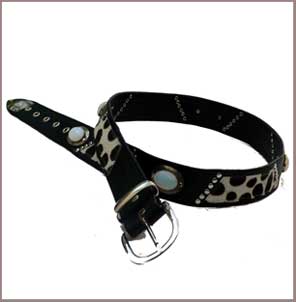 Mondsteing&uuml;rtel